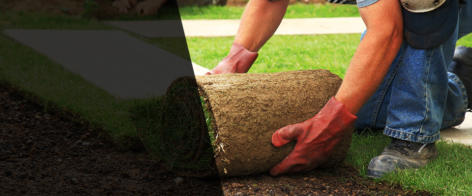 El Monte Landscapers